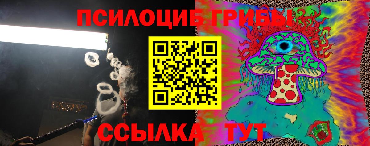 Псилоцибиновые грибы Psilocybine cubensis Луга
