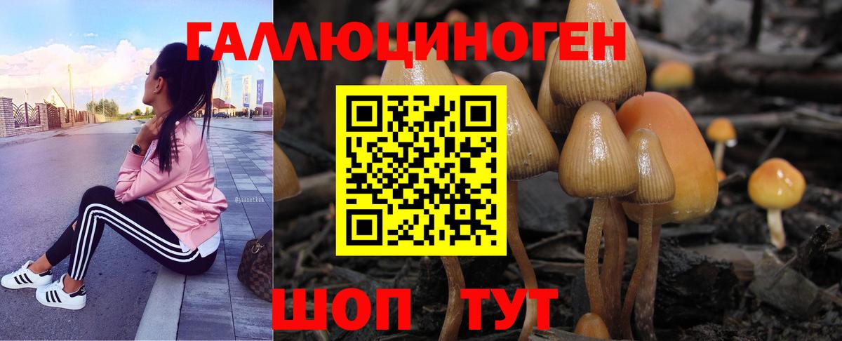 Галлюциногенные грибы мицелий  Вход с VPN  Луга 